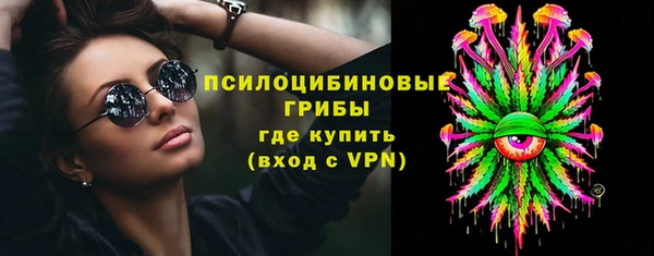 индика Алексеевка