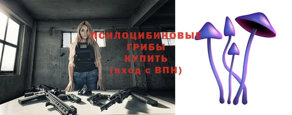 индика Алексеевка